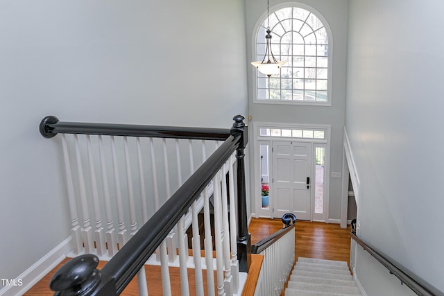 entrance foyer featuring baseboards, a high ceiling, and wood finished floors