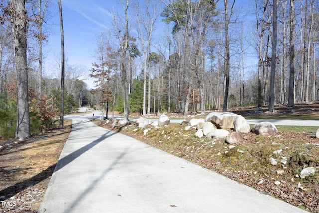 view of property's community with a wooded view