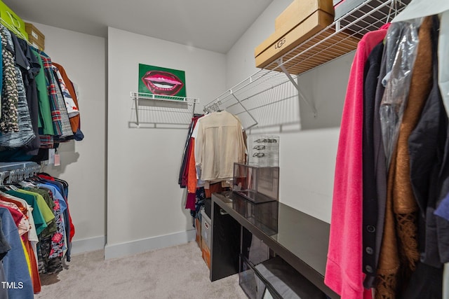 spacious closet with carpet