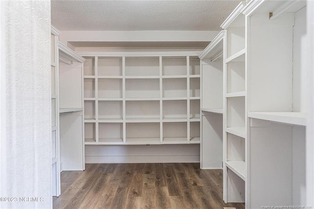 spacious closet with dark wood-type flooring