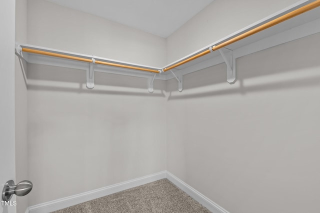 spacious closet with carpet