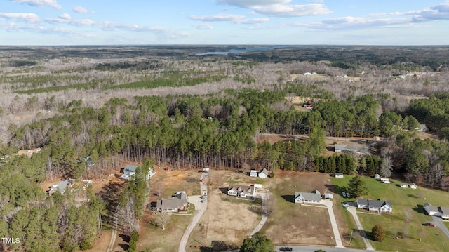 aerial view with a forest view