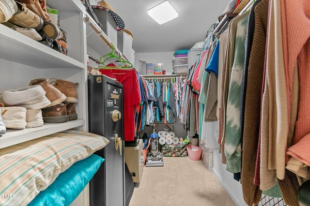 spacious closet featuring carpet