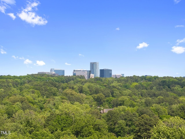 3601 Alamance Dr, Raleigh, NC 27609 - birds eye view of property with a forest view