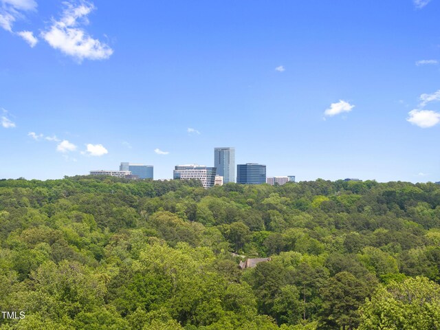 3601 Alamance Dr, Raleigh, NC 27609 - photo 56