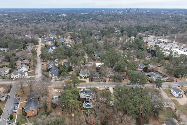 bird's eye view