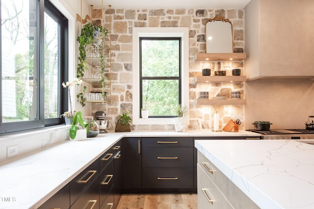 kitchen featuring light wood-type flooring, light stone countertops, and dark cabinetry