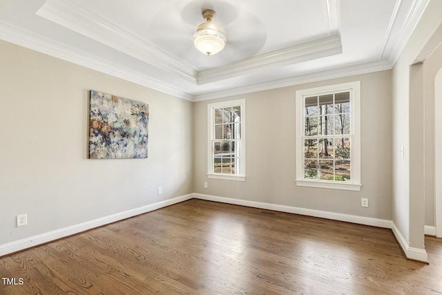 unfurnished room featuring a raised ceiling and a healthy amount of sunlight