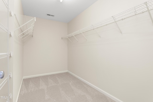 spacious closet with carpet floors