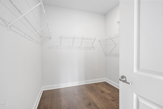 spacious closet featuring wood finished floors