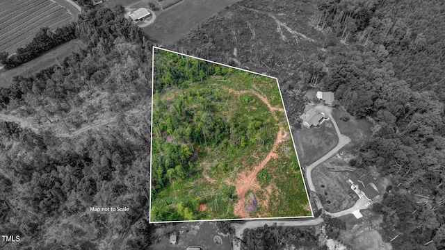 00 Roberson Ln, Reidsville NC, 27320 land for sale