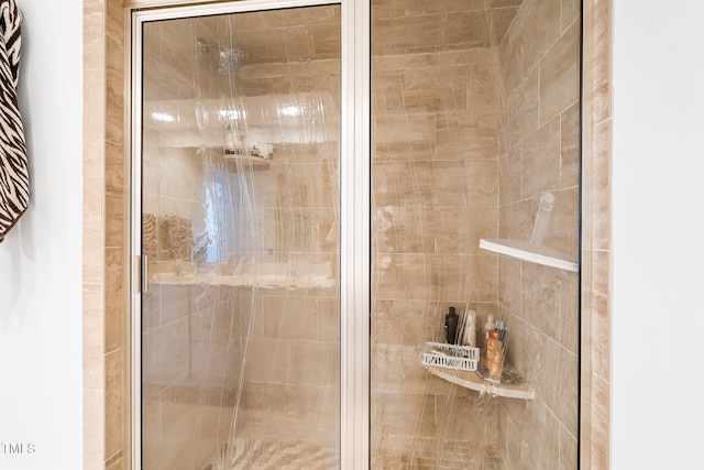 bathroom with a stall shower