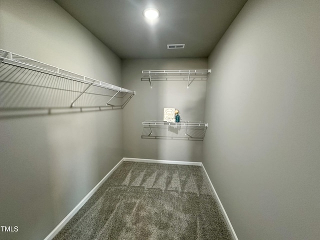 walk in closet with visible vents and carpet