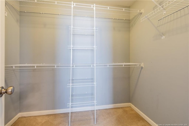 walk in closet with carpet