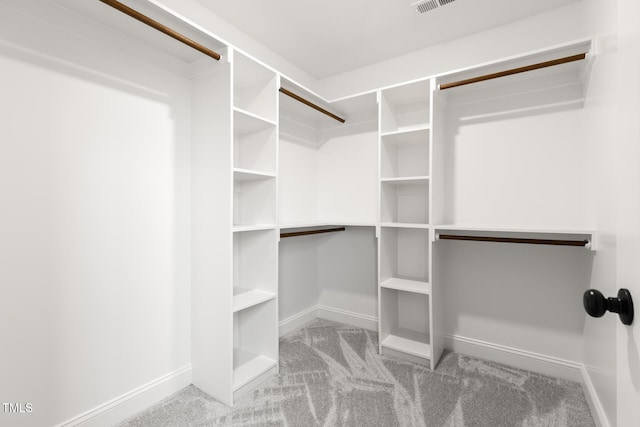 spacious closet featuring carpet flooring