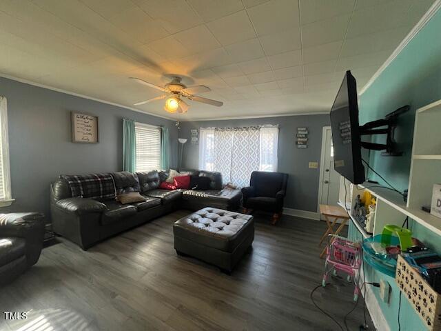 living area featuring dark wood-style flooring, crown molding, baseboards, and ceiling fan