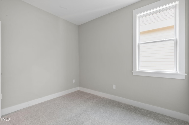 1556 Piney Falls Dr, Wendell, NC 27591 - photo 22