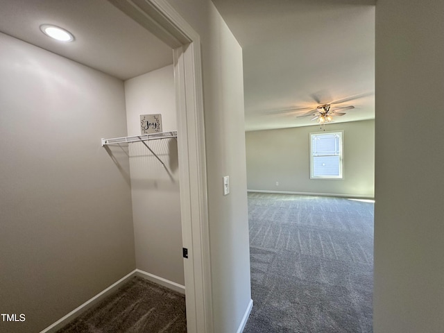 clothes washing area with carpet flooring, a ceiling fan, and baseboards