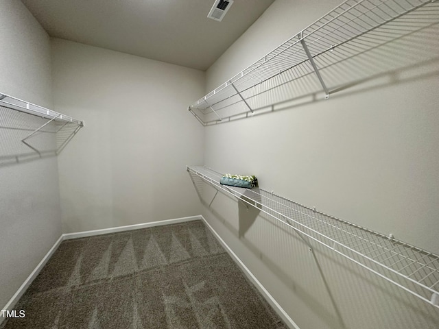 walk in closet featuring visible vents and carpet flooring