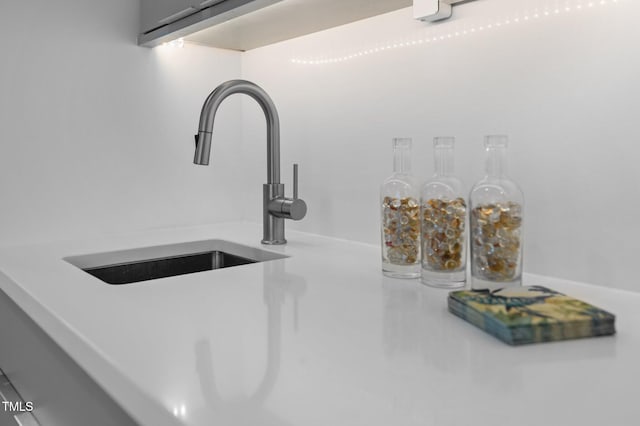 interior details with light countertops and a sink