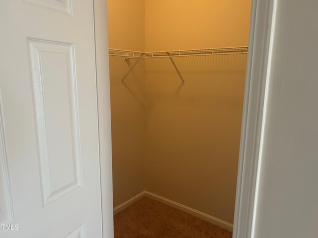 spacious closet featuring carpet