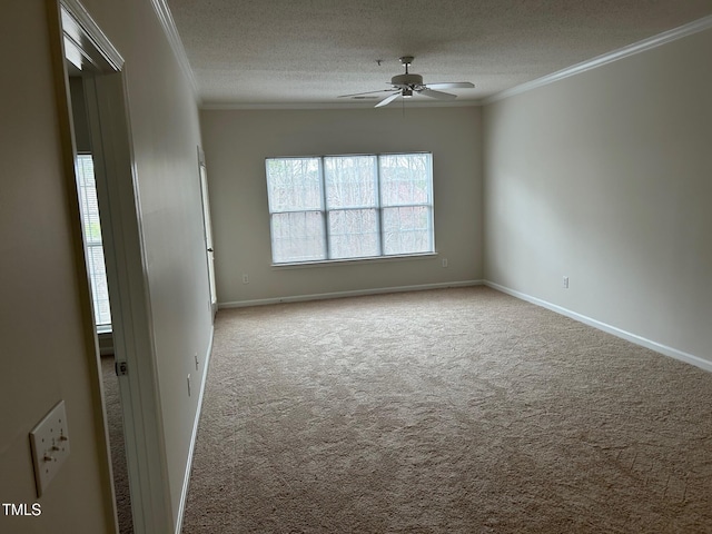 unfurnished room with ornamental molding, carpet, and a textured ceiling