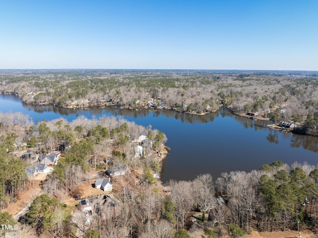 bird's eye view with a water view and a forest view