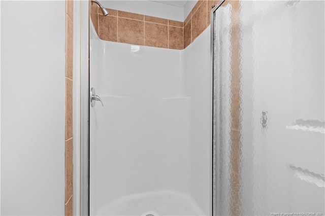 bathroom featuring a shower stall