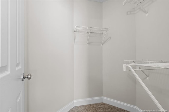 walk in closet featuring carpet