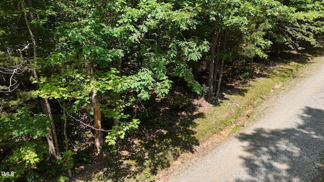 0 Thunder Rd, Rougemont, NC 27572