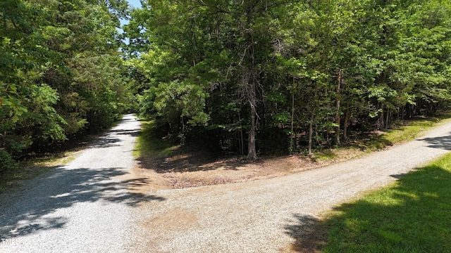 0 Thunder Rd, Rougemont, NC 27572