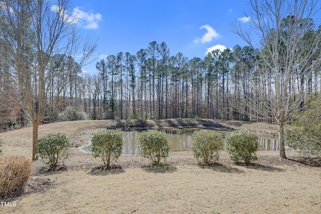 view of yard with a water view