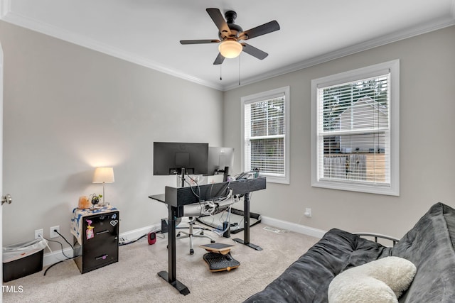 office with carpet floors, baseboards, and crown molding