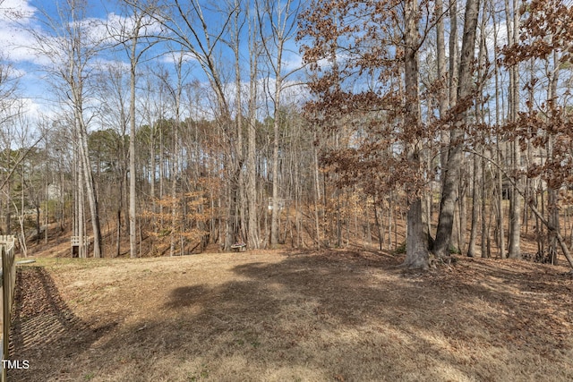 view of nature featuring a wooded view