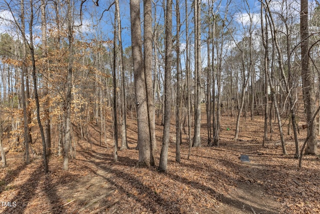 view of landscape with a forest view