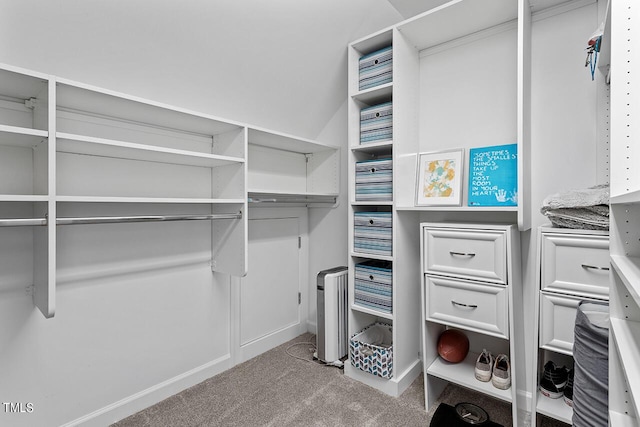 walk in closet featuring carpet