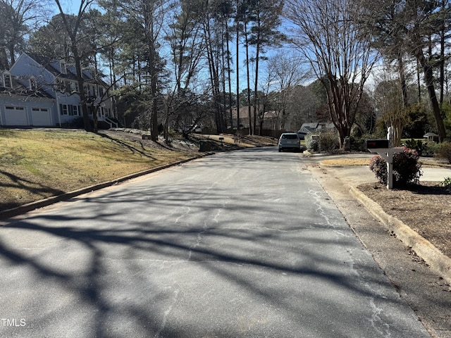 view of street with curbs