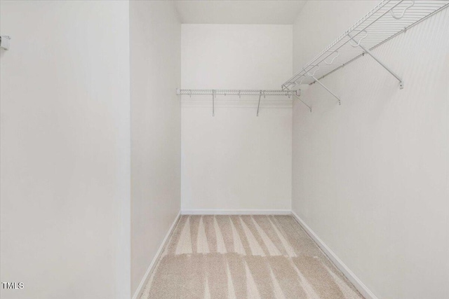 walk in closet featuring light colored carpet