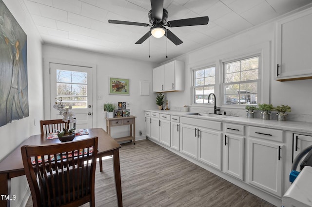 kitchen with white cabinetry, a ceiling fan, a sink, and light wood finished floors