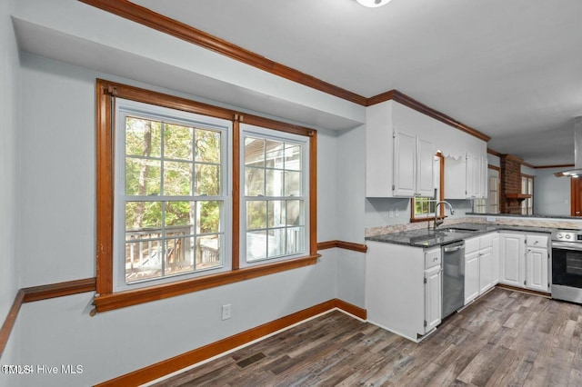 kitchen with white cabinets, wood finished floors, stainless steel appliances, crown molding, and a sink