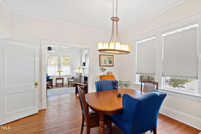 dining room with ceiling fan with notable chandelier, wood finished floors, baseboards, and ornamental molding