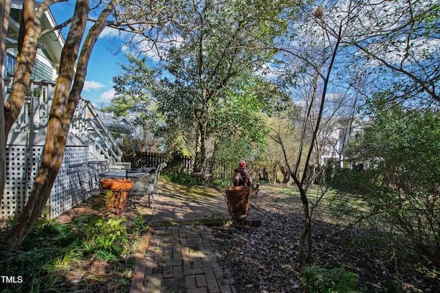 view of yard featuring a patio area