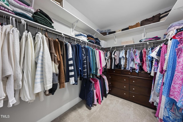 spacious closet featuring carpet