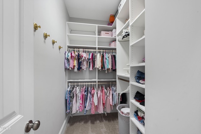 walk in closet featuring carpet flooring