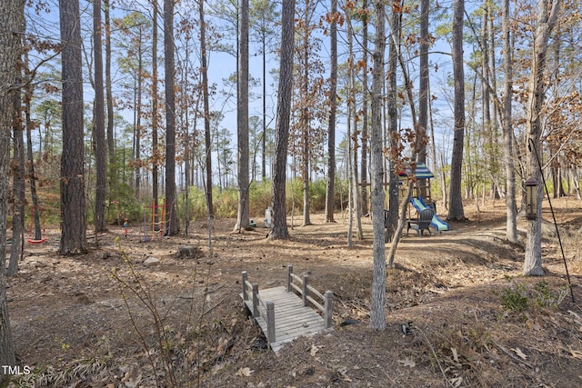 view of yard featuring playground community