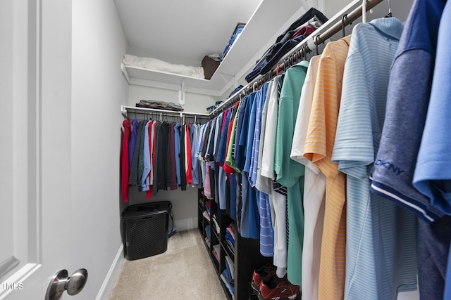 spacious closet featuring carpet floors