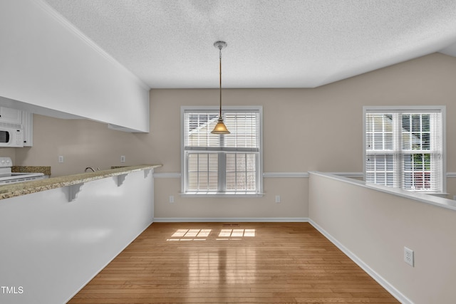 1614 W Cotton Gin Dr, Clayton, NC 27527 - unfurnished dining area featuring a textured ceiling, light wood-type flooring, plenty of natural light, and baseboards
