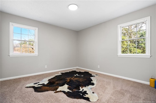 spare room featuring carpet floors, a wealth of natural light, and baseboards