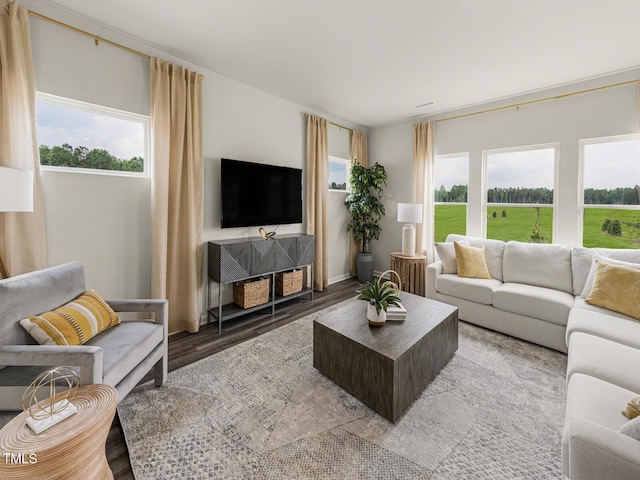 living area with wood finished floors and a wealth of natural light