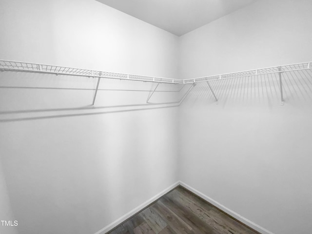 spacious closet with dark wood-style flooring